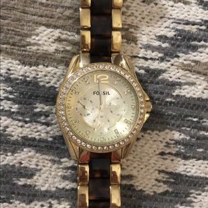 Fossil Tortoise and Gold es3343